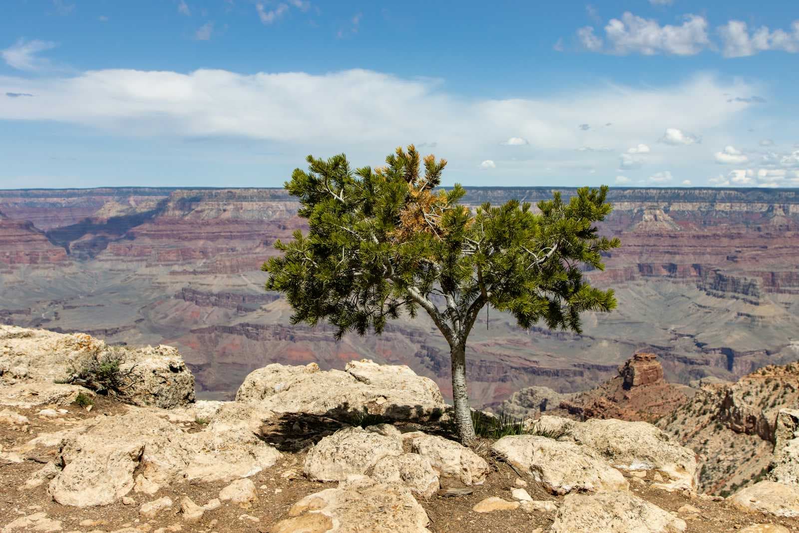 Building Scalable and Resilient FinTech Systems